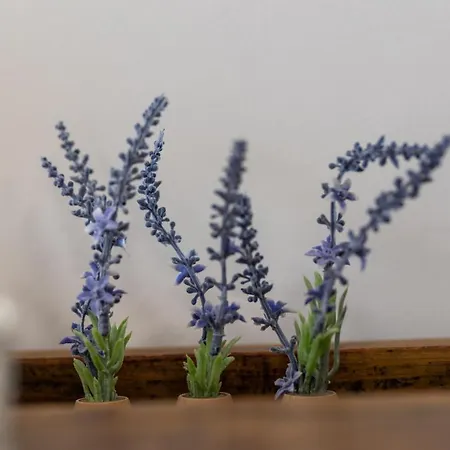 Graça Garden * Torres Vedras